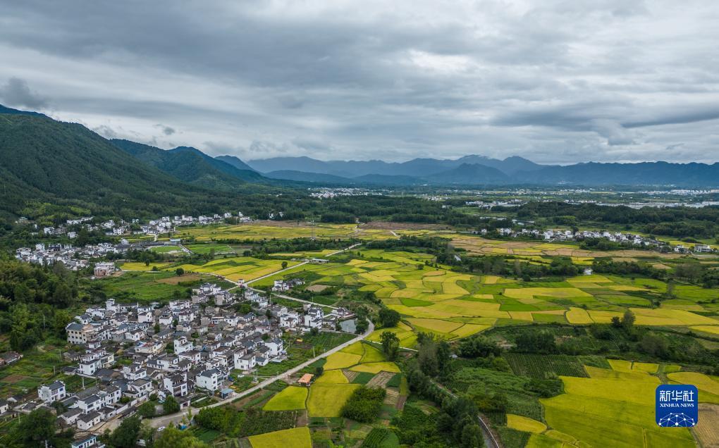 太阳成集团网址